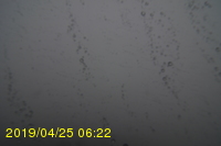 Img20190425_062240.jpg