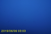 Img20190606_030359.jpg