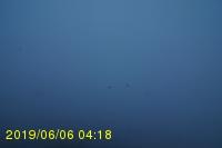 Img20190606_041859.jpg