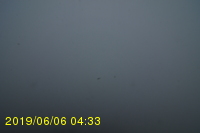 Img20190606_043359.jpg