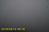 Img20190616_051619.jpg