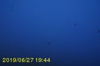 Img20190627_194449.jpg