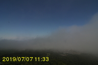 Img20190707_113319.jpg