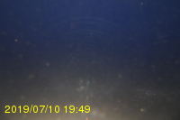Img20190710_194932.jpg