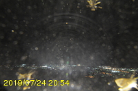 Img20190724_205423.jpg