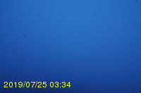 Img20190725_033433.jpg