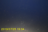 Img20190725_193445.jpg