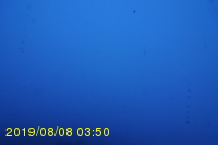 Img20190808_035047.jpg