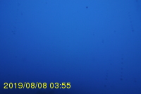 Img20190808_035547.jpg
