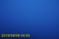 Img20190808_040047.jpg