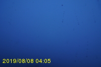 Img20190808_040547.jpg