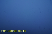 Img20190808_041047.jpg