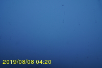 Img20190808_042047.jpg