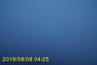 Img20190808_042547.jpg