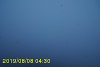 Img20190808_043047.jpg