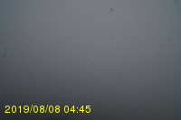 Img20190808_044547.jpg