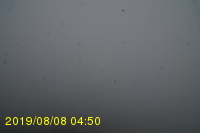 Img20190808_045047.jpg
