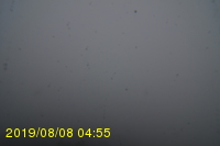 Img20190808_045547.jpg