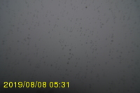 Img20190808_053106.jpg
