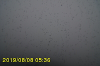 Img20190808_053606.jpg