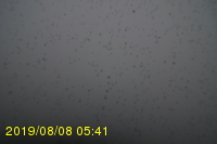 Img20190808_054106.jpg