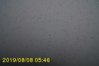 Img20190808_054606.jpg