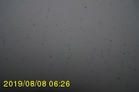 Img20190808_062606.jpg