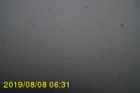 Img20190808_063106.jpg