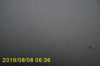 Img20190808_063606.jpg