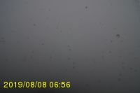 Img20190808_065606.jpg