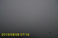 Img20190808_071606.jpg