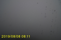 Img20190808_081106.jpg