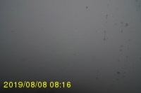 Img20190808_081606.jpg