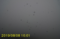 Img20190808_100115.jpg