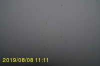 Img20190808_111115.jpg
