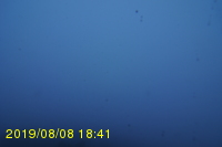 Img20190808_184116.jpg