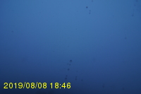 Img20190808_184616.jpg