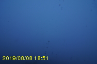 Img20190808_185116.jpg