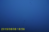 Img20190808_185616.jpg