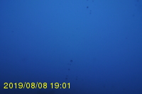 Img20190808_190116.jpg