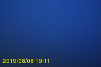 Img20190808_191116.jpg