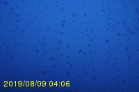 Img20190809_040618.jpg
