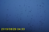 Img20190829_043349.jpg
