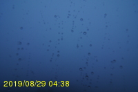 Img20190829_043849.jpg