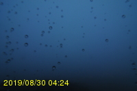 Img20190830_042406.jpg
