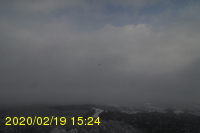 Img20200219_152411.jpg