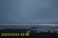 Img20200324_053927.jpg