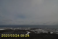 Img20200324_092446.jpg