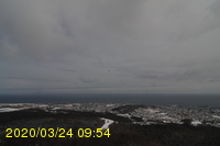 Img20200324_095447.jpg