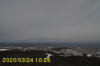 Img20200324_102630.jpg